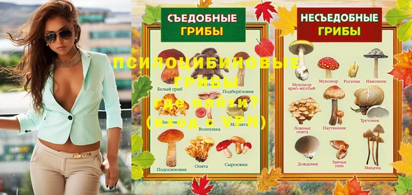 скорость Алзамай
