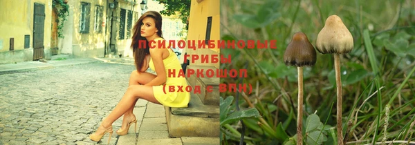 скорость Алзамай